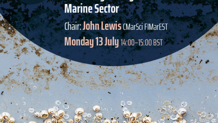 Image for Annual Conference 2020 - Engendering a Proactive Culture for Biofouling Management Across the Marine Sector (5728)